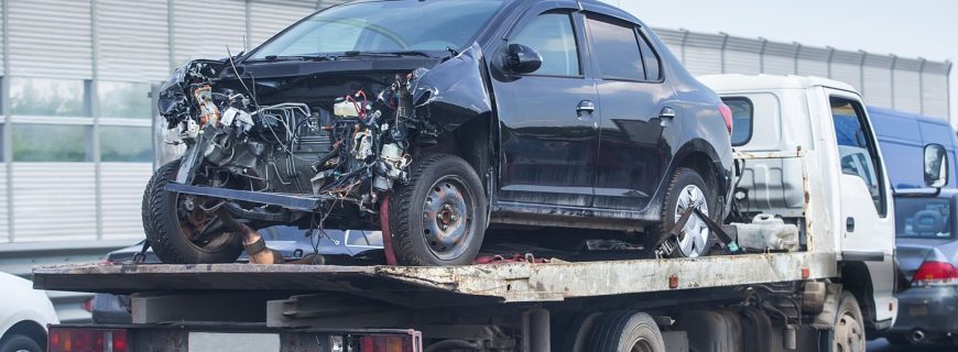 wmremove-transformed (39)